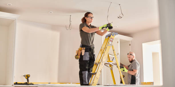 Best Electrician Near Me  in Third Lake, IL