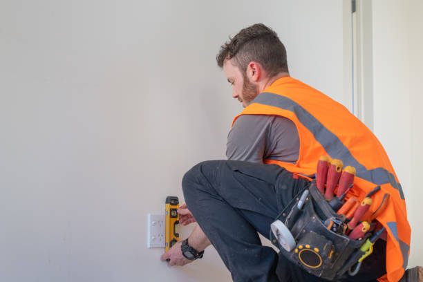 Best Electrician for Home Renovation  in Third Lake, IL