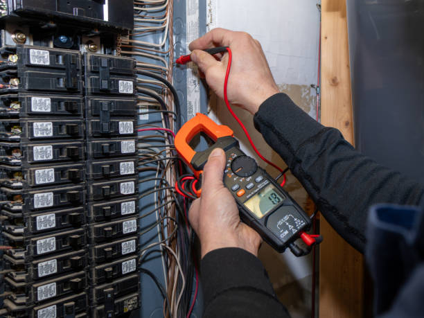 Best Residential Electrician Services  in Third Lake, IL